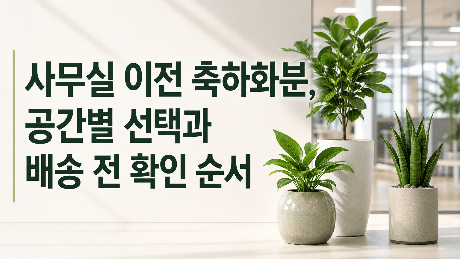 사무실 이전 축하화분, 공간별 선택과 배송 전 확인 순서
